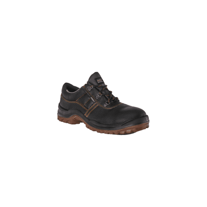 Cobalt Shoe SABS