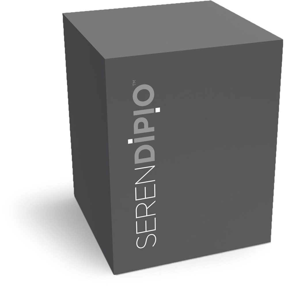 Serendipio Sheridan Stainless Steel Vacuum Tumbler - 300ml - Image 4